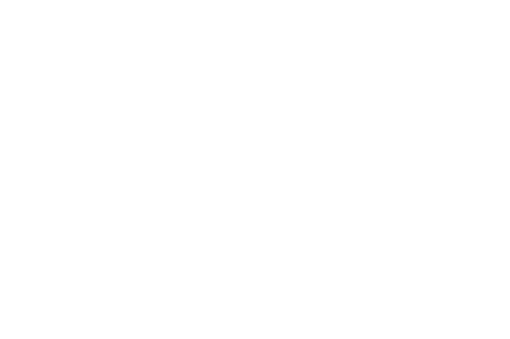 Official Selection, First-Time Filmmaker Sessions Volume 9, 2025